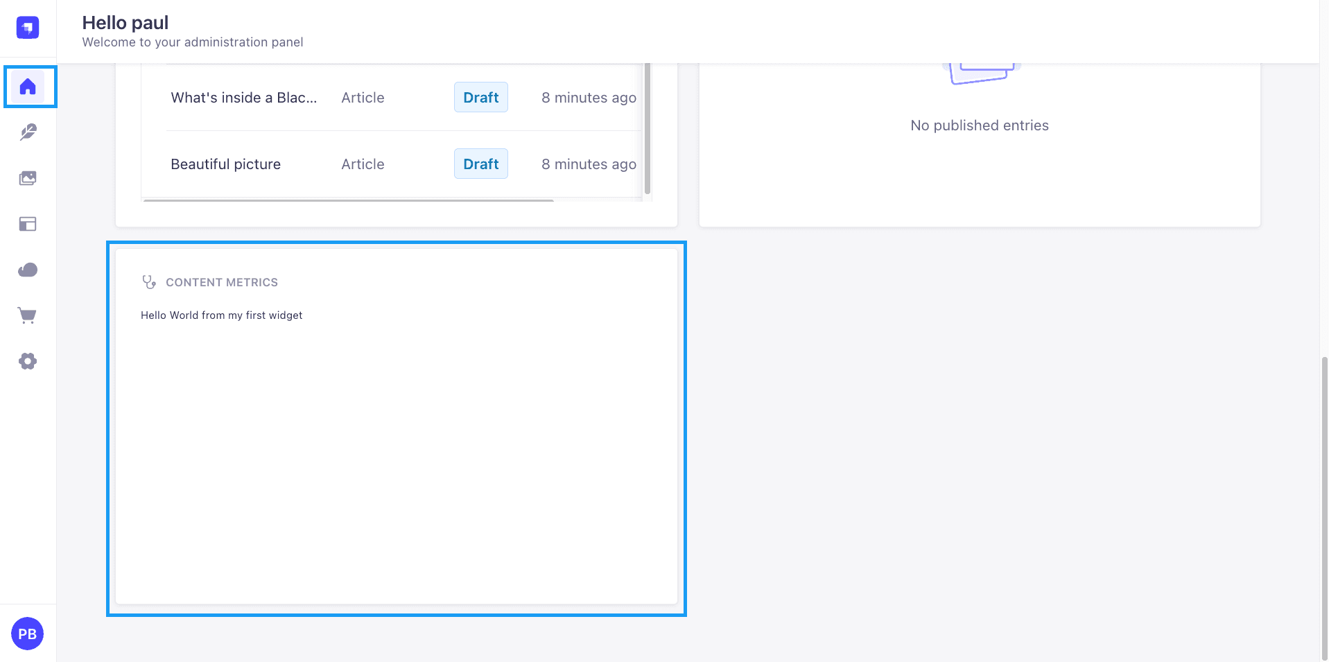 005-widget-in-admin-panel.png