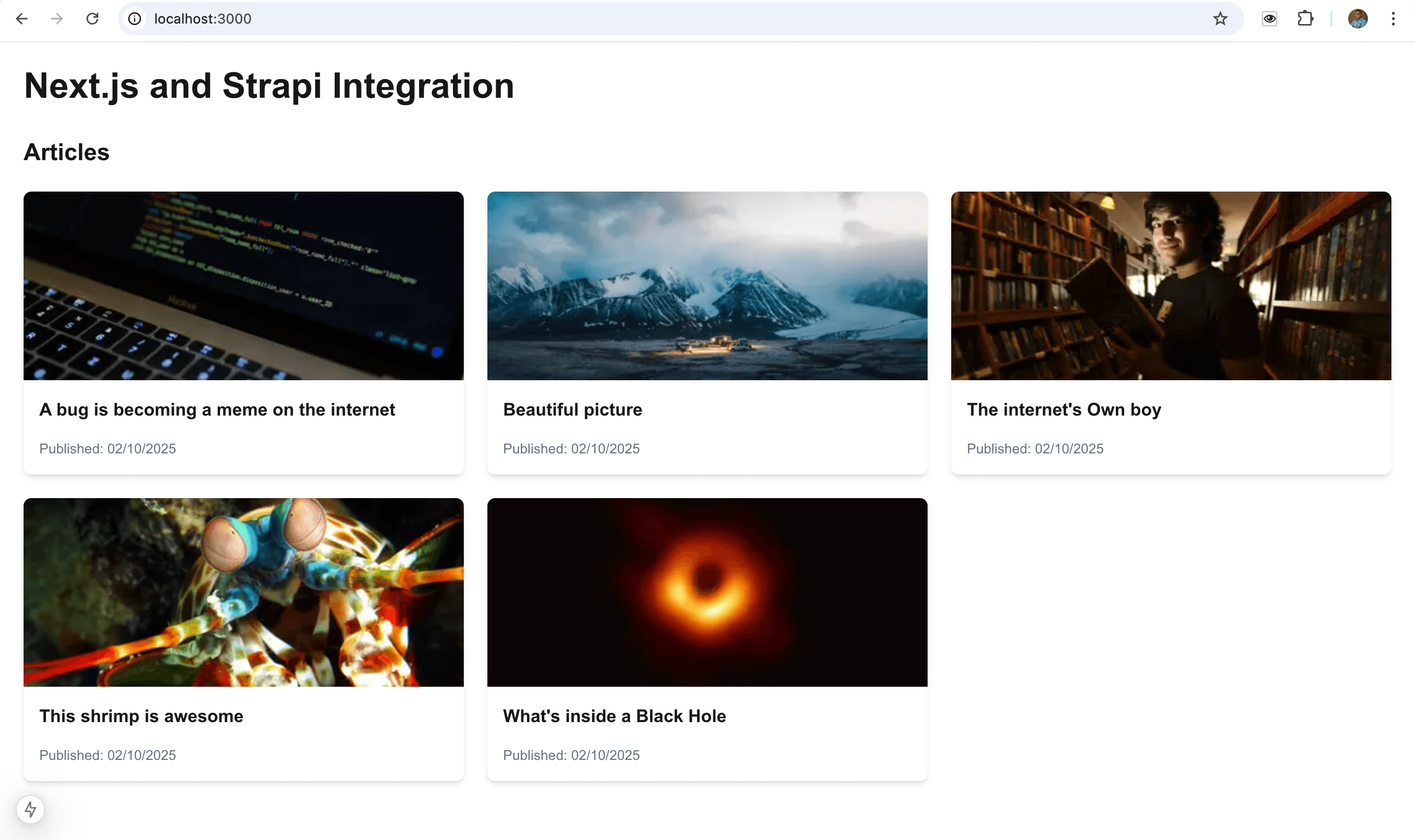 Nextjs and Strapi integration project sample.png