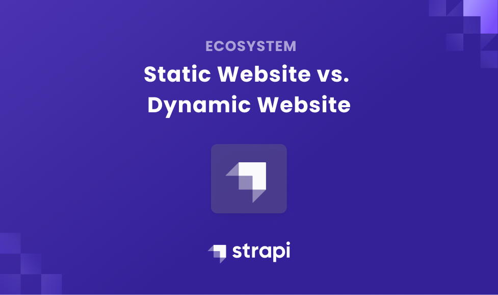 Comparing Static and Dynamic Websites