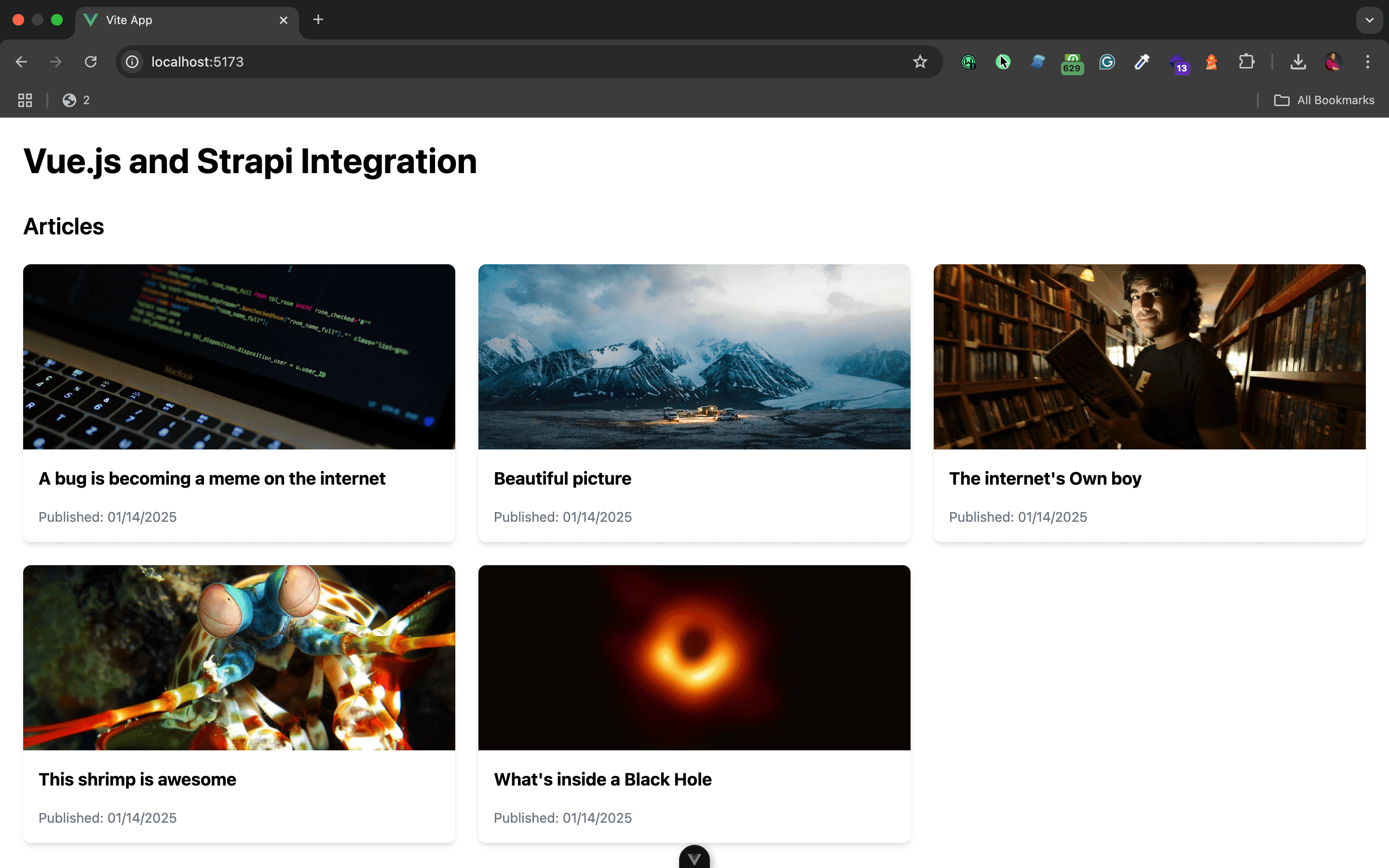 Vuejs and Strapi Example project.png