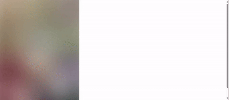 blur image - nextjs optimization.gif