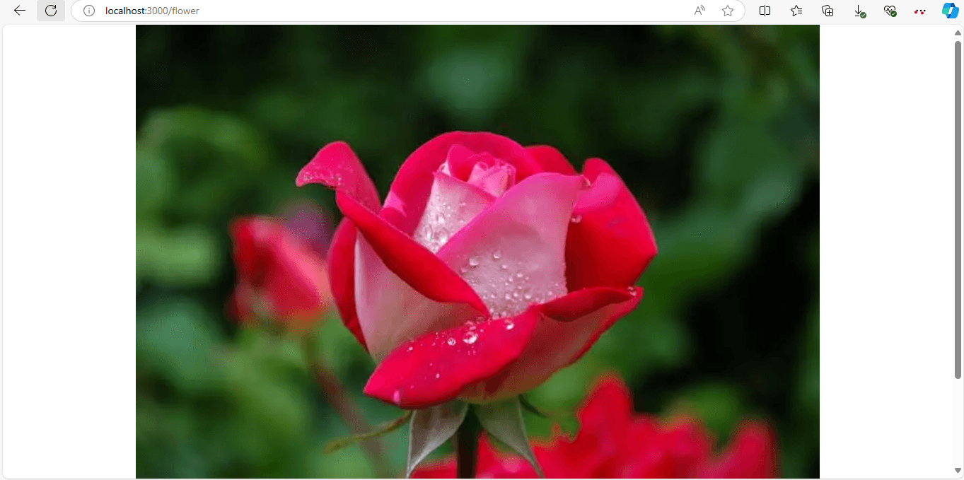 render local images - nextjs optimization.png