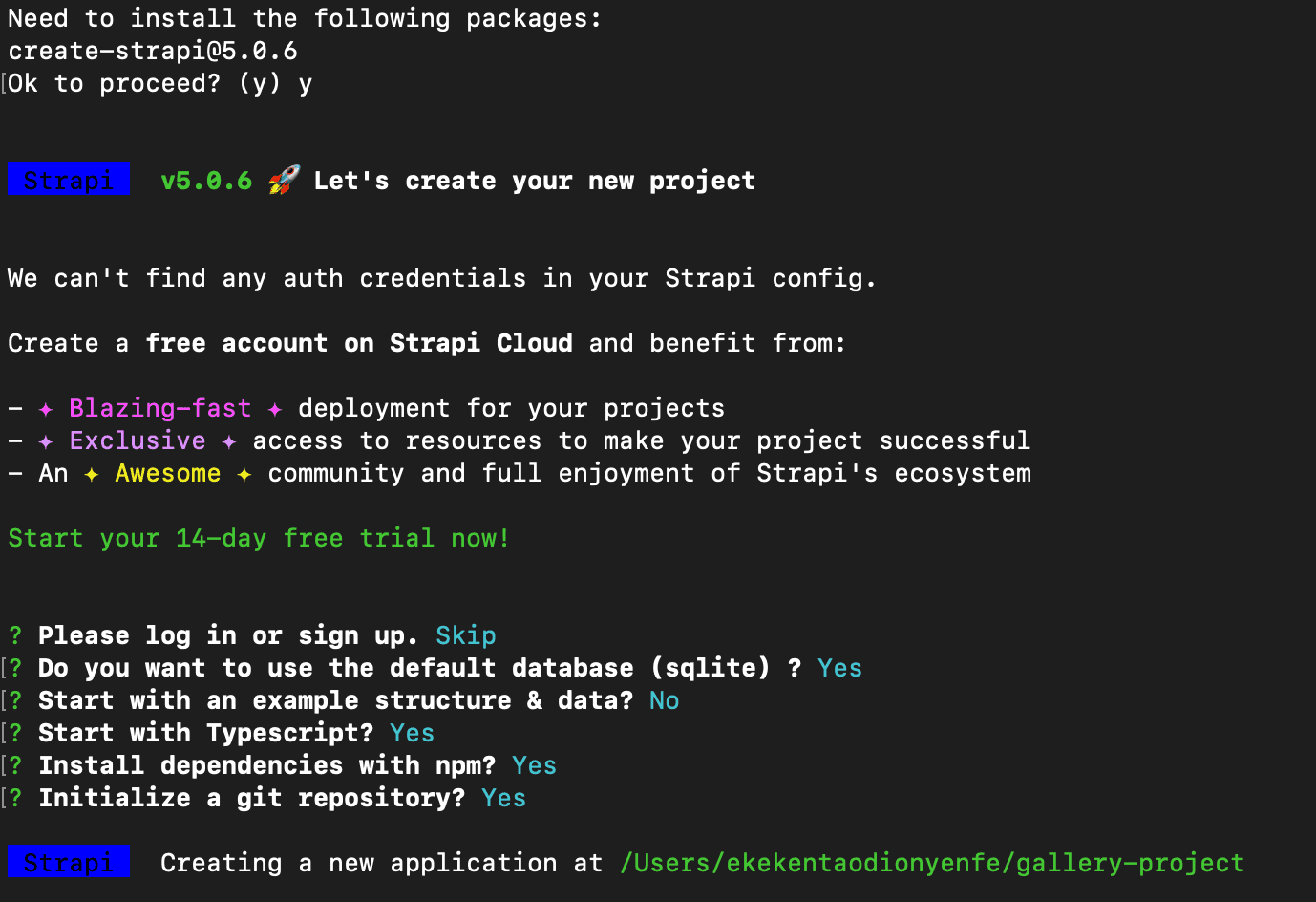 strapi installation.png