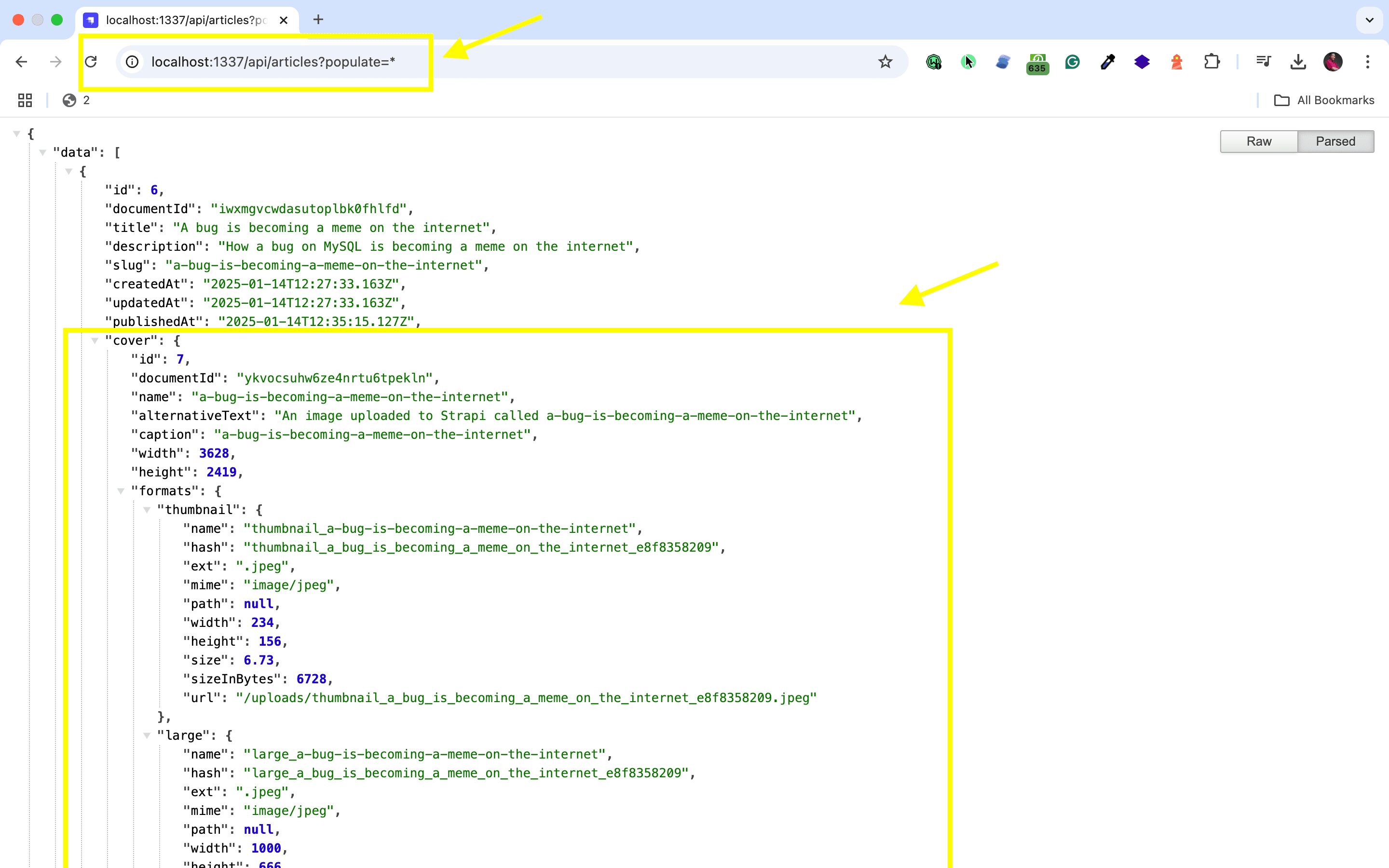 vuejs strapi integration - api request.png